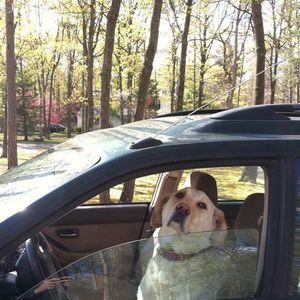 Meet your Posher, Brett